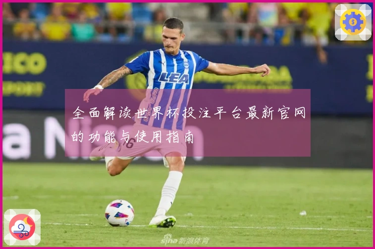全面解读世界杯投注平台最新官网的功能与使用指南