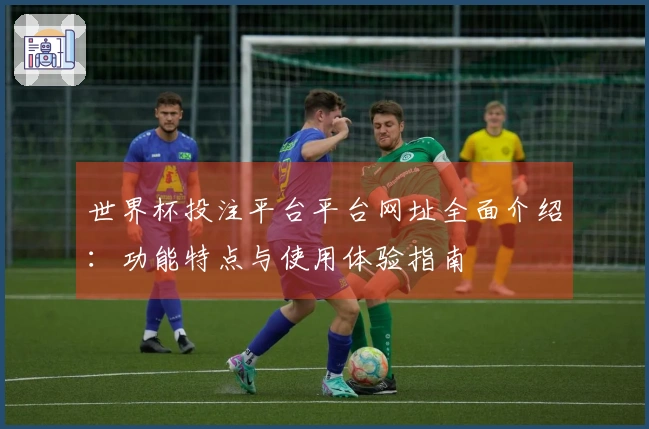 世界杯投注平台平台网址全面介绍：功能特点与使用体验指南