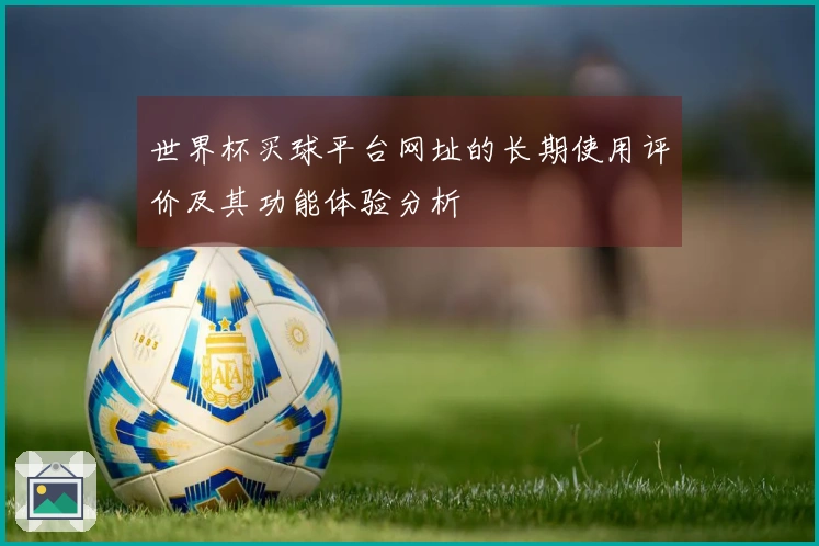 世界杯买球平台网址的长期使用评价及其功能体验分析