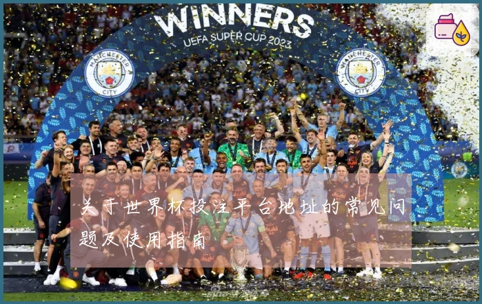 关于世界杯投注平台地址的常见问题及使用指南
