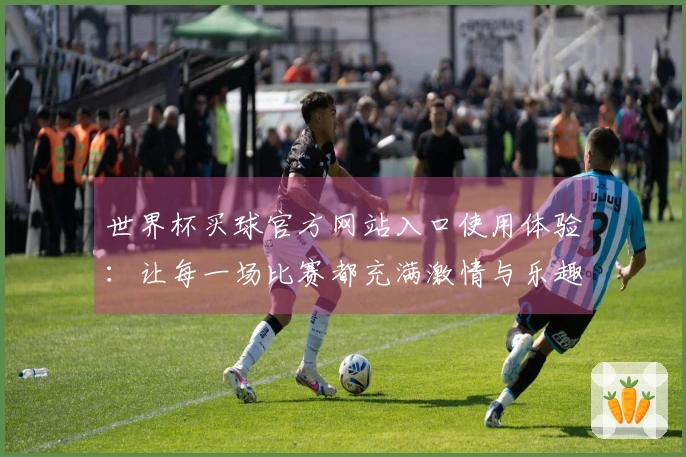 世界杯买球官方网站入口使用体验：让每一场比赛都充满激情与乐趣