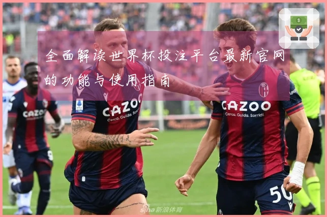 全面解读世界杯投注平台最新官网的功能与使用指南