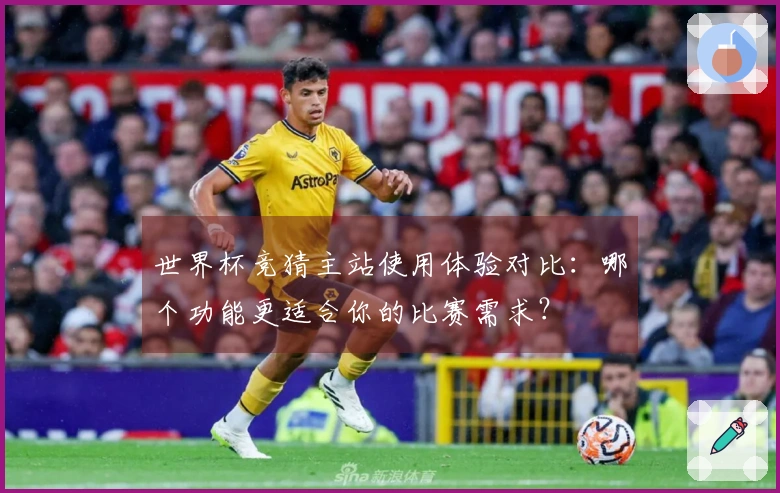 世界杯竞猜主站使用体验对比：哪个功能更适合你的比赛需求？