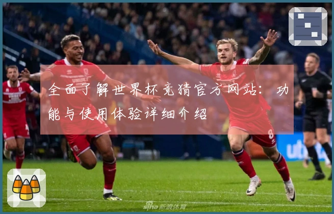全面了解世界杯竞猜官方网站：功能与使用体验详细介绍