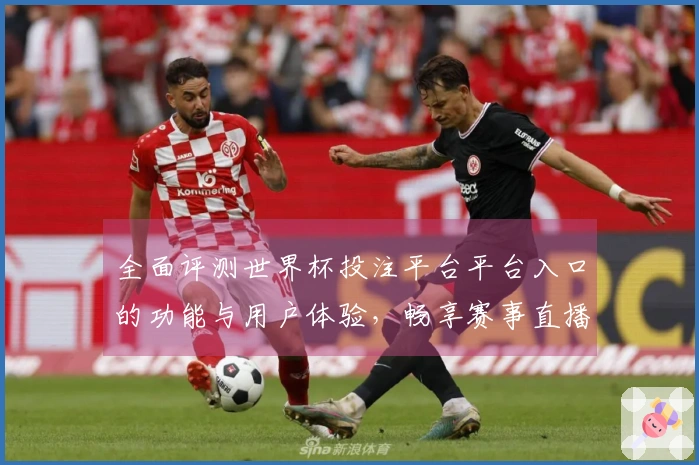 全面评测世界杯投注平台平台入口的功能与用户体验，畅享赛事直播新视界