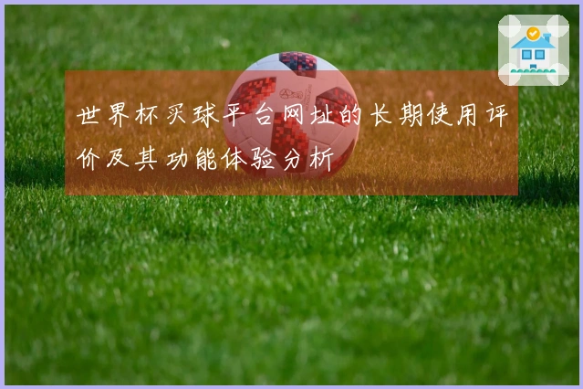 世界杯买球平台网址的长期使用评价及其功能体验分析